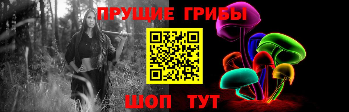 Абинск  Псилоцибиновые грибы мицелий  Вход с VPN  Псилоцибиновые грибы Magic Shrooms 